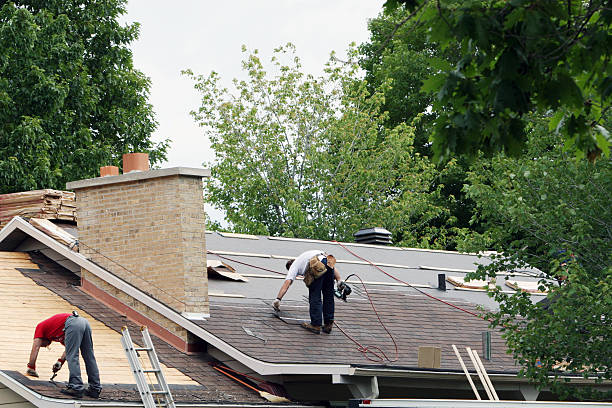 Best Metal Roofing Contractor  in Salem, IL