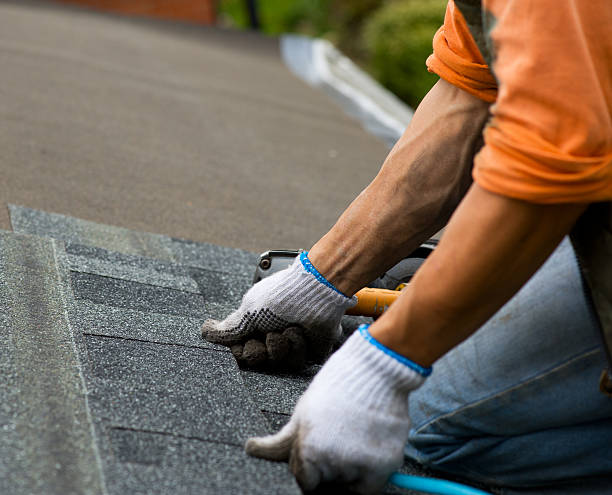 Roof Gutter Cleaning in Salem, IL